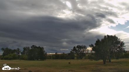 Montana Grasslands Bison Live Webcam - Sep 14, 2026, 5:07pm MDT
