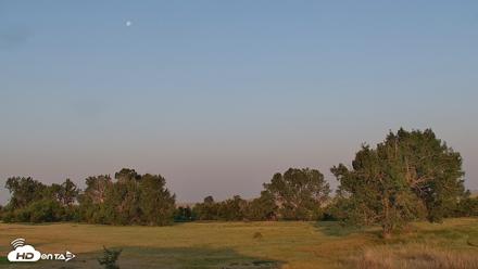 Montana Grasslands Bison Live Webcam - Aug 1, 2026, 6:41am MDT