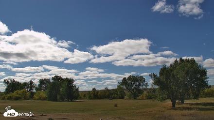 Montana Grasslands Bison Live Webcam - Sep 21, 2026, 3:02pm MDT