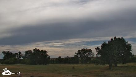 Montana Grasslands Bison Live Webcam - Sep 1, 2026, 4:04pm MDT