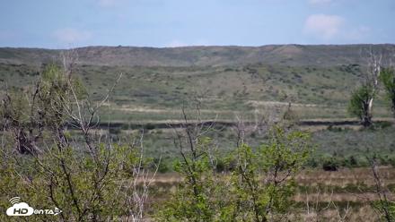 Montana Grasslands Bison Live Webcam - May 22, 2026, 12:19pm MDT