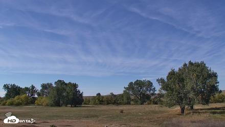 Montana Grasslands Bison Live Webcam - Sep 22, 2026, 12:28pm MDT