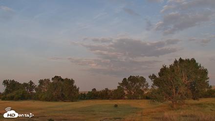 Montana Grasslands Bison Live Webcam - Aug 17, 2026, 6:44am MDT