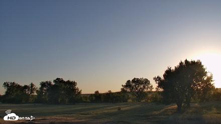Montana Grasslands Bison Live Webcam - Sep 13, 2026, 6:58pm MDT