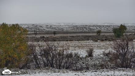 Montana Grasslands Bison Live Webcam - Oct 12, 2026, 7:58am MDT