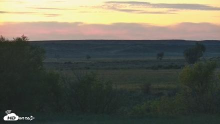 Montana Grasslands Bison Live Webcam - Sep 23, 2026, 7:31pm MDT