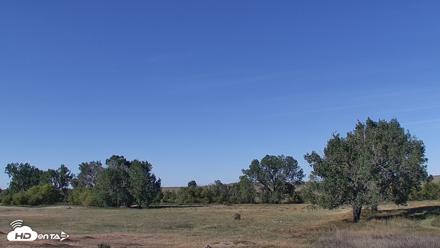 Montana Grasslands Bison Live Webcam - Sep 16, 2026, 10:29am MDT