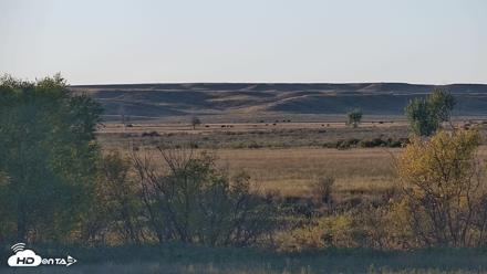 Montana Grasslands Bison Live Webcam - Sep 28, 2026, 6:18pm MDT