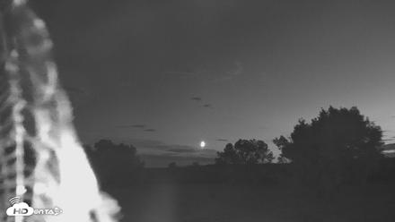 Montana Grasslands Bison Live Webcam - Aug 16, 2026, 9:16pm MDT