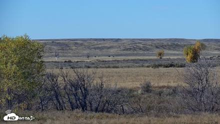 Montana Grasslands Bison Live Webcam - Oct 22, 2026, 2:12pm MDT