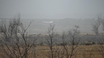 Montana Grasslands Bison Live Webcam - Dec 25, 2025, 12:29pm MST