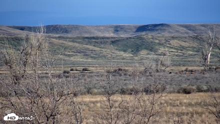 Montana Grasslands Bison Live Webcam - Apr 17, 2026, 7:10am MDT