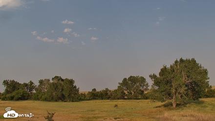 Montana Grasslands Bison Live Webcam - Jul 31, 2026, 8:13am MDT