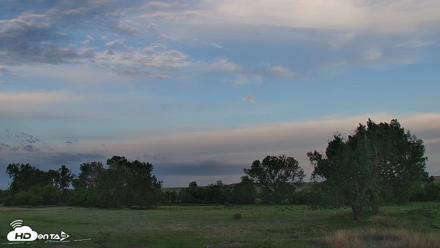 Montana Grasslands Bison Live Webcam - Jun 7, 2026, 5:42am MDT