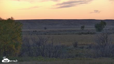 Montana Grasslands Bison Live Webcam - Oct 8, 2026, 6:39pm MDT