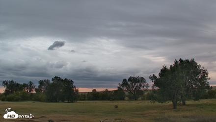 Montana Grasslands Bison Live Webcam - Sep 14, 2026, 7:21pm MDT