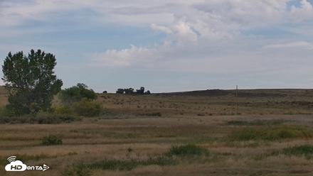 Montana Grasslands Bison Live Webcam - Sep 23, 2026, 11:05am MDT
