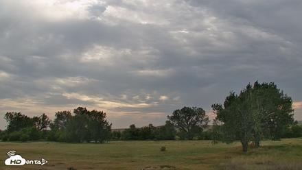 Montana Grasslands Bison Live Webcam - Aug 22, 2026, 5:51pm MDT
