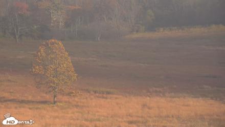 Shenandoah National Park Big Meadow Live Cam - Oct 16, 2026, 4:48pm EDT