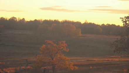 Shenandoah National Park Big Meadow Live Cam - Oct 15, 2025, 6:26pm EDT