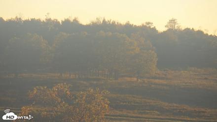 Shenandoah National Park Big Meadow Live Cam - Oct 6, 2026, 6:58pm EDT