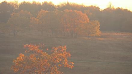Shenandoah National Park Big Meadow Live Cam - Oct 15, 2025, 6:26pm EDT