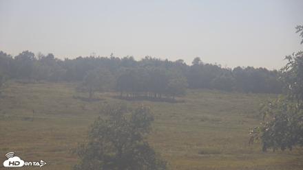Shenandoah National Park Big Meadow Live Cam - Sep 25, 2026, 3:37pm EDT
