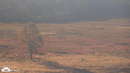 Shenandoah National Park Big Meadow Live Cam - Oct 18, 2026, 8:15am EDT