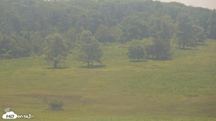 Shenandoah National Park Big Meadow Live Cam - Jun 7, 2026, 11:52am EDT