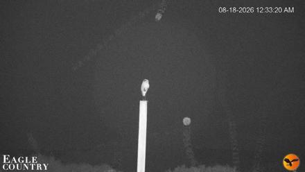 Southwest Florida River Wildlife Live Cams - Aug 18, 2026, 12:34am EDT