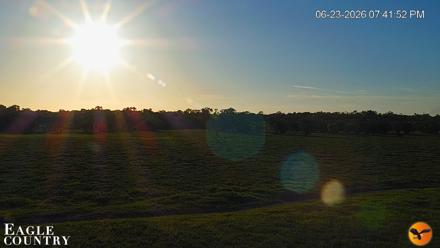 Southwest Florida River Wildlife Live Cams - Jun 23, 2026, 7:43pm EDT