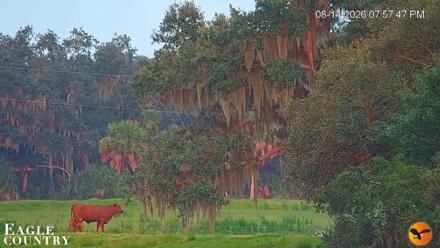 Southwest Florida River Wildlife Live Cams - Aug 14, 2026, 9:18pm EDT