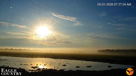 Southwest Florida River Wildlife Live Cams - May 1, 2026, 7:38am EDT