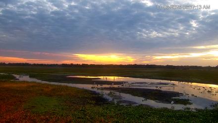 Southwest Florida River Wildlife Live Cams - Nov 6, 2025, 6:38am EST