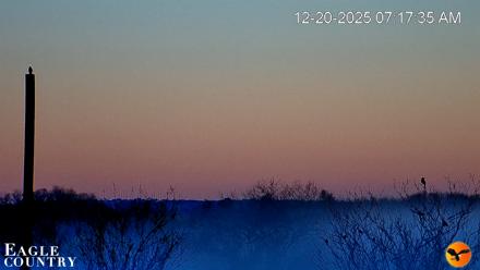 Southwest Florida River Wildlife Live Cams - Dec 20, 2025, 7:18am EST