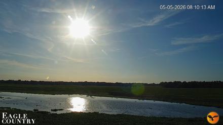 Southwest Florida River Wildlife Live Cams - May 5, 2026, 8:11am EDT