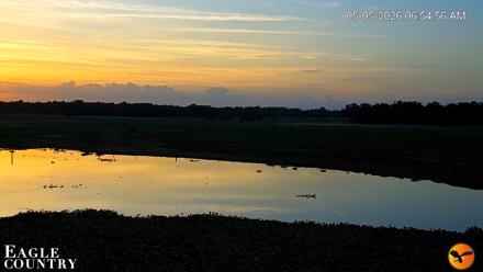 Southwest Florida River Wildlife Live Cams - May 5, 2026, 6:56am EDT