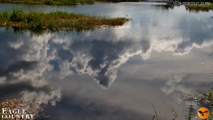Southwest Florida River Wildlife Live Cams - Oct 5, 2026, 3:21pm EDT