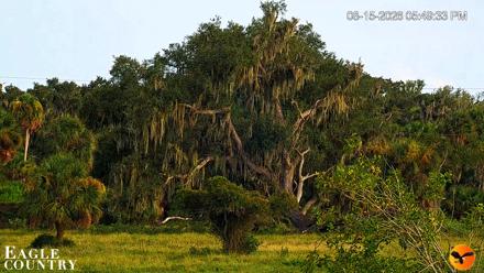 Southwest Florida River Wildlife Live Cams - Aug 15, 2026, 5:50pm EDT