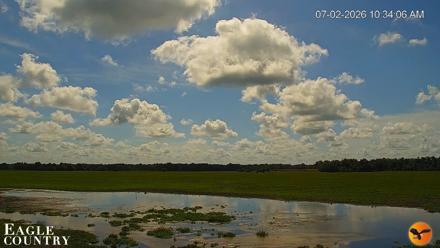 Southwest Florida River Wildlife Live Cams - Jul 2, 2026, 10:34am EDT