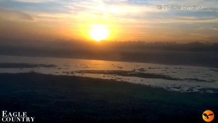 Southwest Florida River Wildlife Live Cams - Dec 11, 2025, 7:29am EST