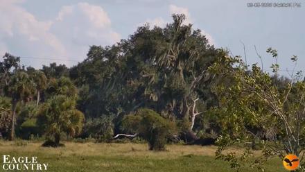 Southwest Florida River Wildlife Live Cams - Sep 5, 2026, 4:30pm EDT