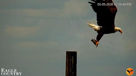 Southwest Florida River Wildlife Live Cams - May 5, 2026, 5:39pm EDT