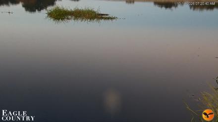 Southwest Florida River Wildlife Live Cams - Oct 14, 2026, 7:20am EDT