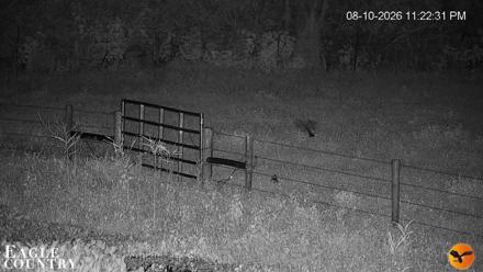 Southwest Florida River Wildlife Live Cams - Aug 10, 2026, 11:23pm EDT