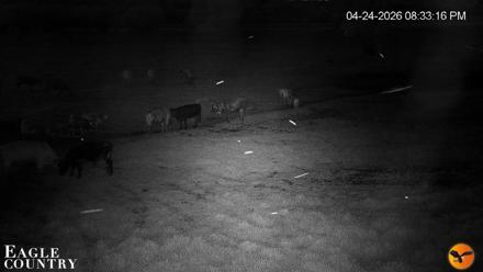 Southwest Florida River Wildlife Live Cams - Apr 24, 2026, 8:33pm EDT