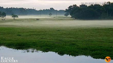 Southwest Florida River Wildlife Live Cams - Aug 22, 2026, 7:18am EDT