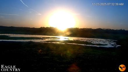 Southwest Florida River Wildlife Live Cams - Dec 23, 2025, 7:33am EST