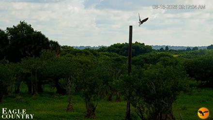 Southwest Florida River Wildlife Live Cams - Jun 16, 2026, 9:18am EDT