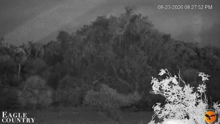 Southwest Florida River Wildlife Live Cams - Aug 23, 2026, 8:28pm EDT